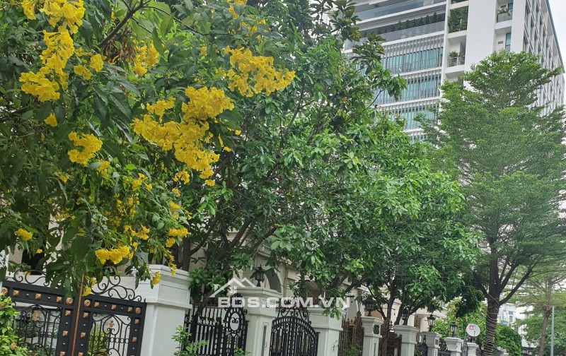 Bán nhà phố 6m x 19m có tầng hầm khu Cityland Garden hills, Q. Gò Vấp, TP.HCM